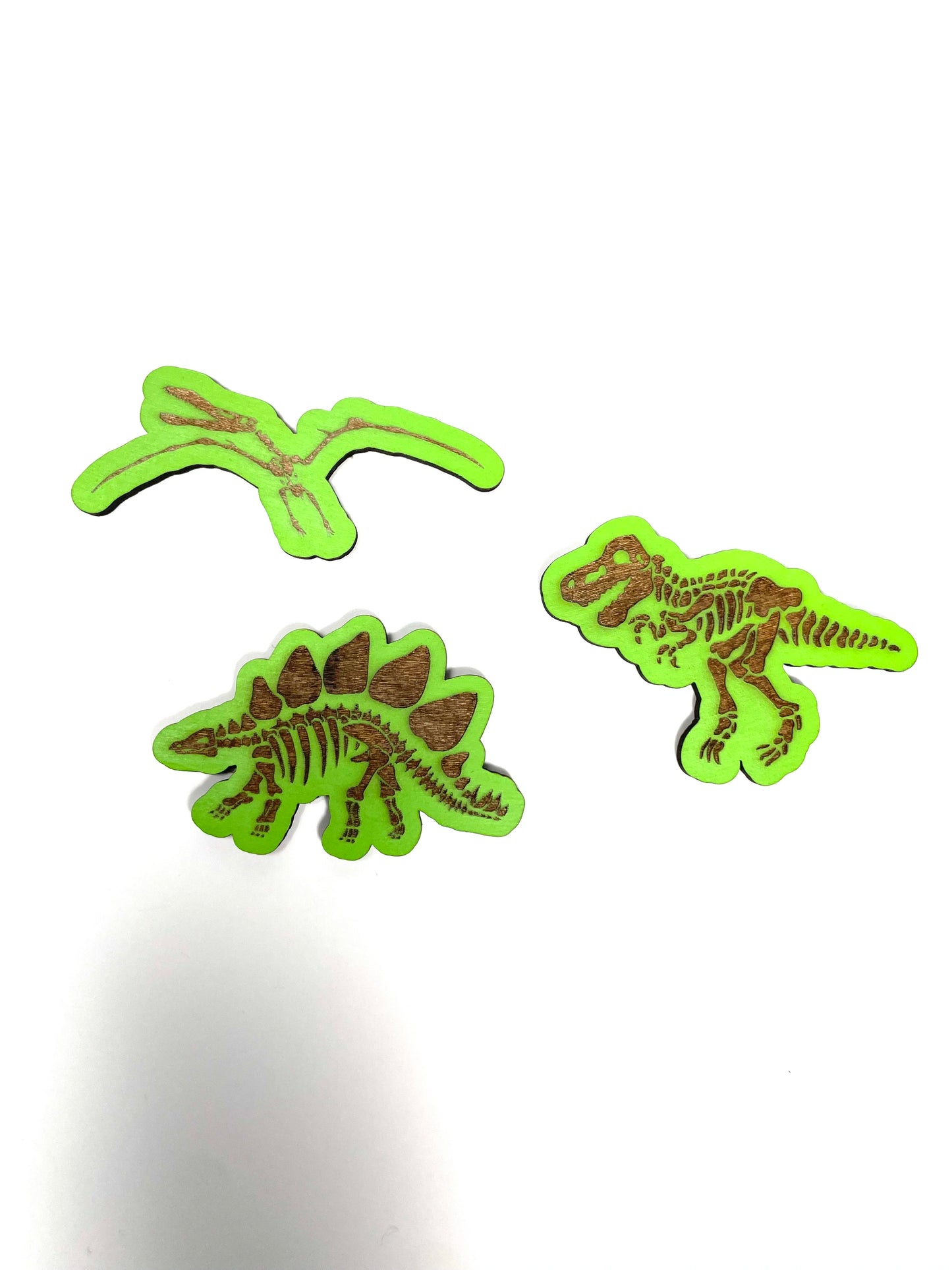 Wooden Dino X-Ray